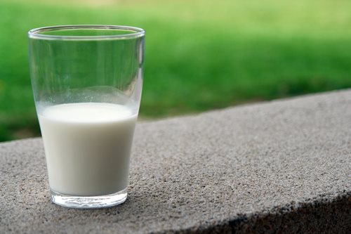 milk-tolerase.jpg